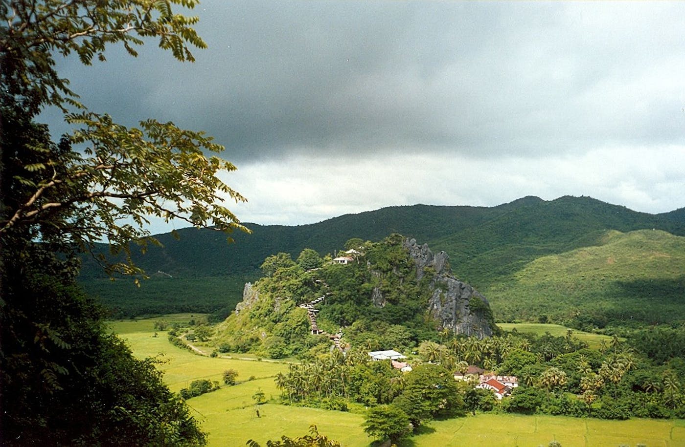 Myanmar Coastal Rainforests & Andaman Sea Islands (IM9)